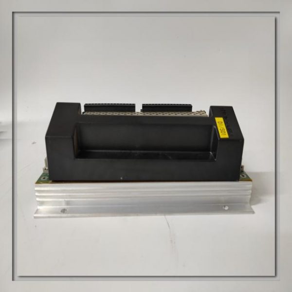 TRICONEX EPI3382 power module