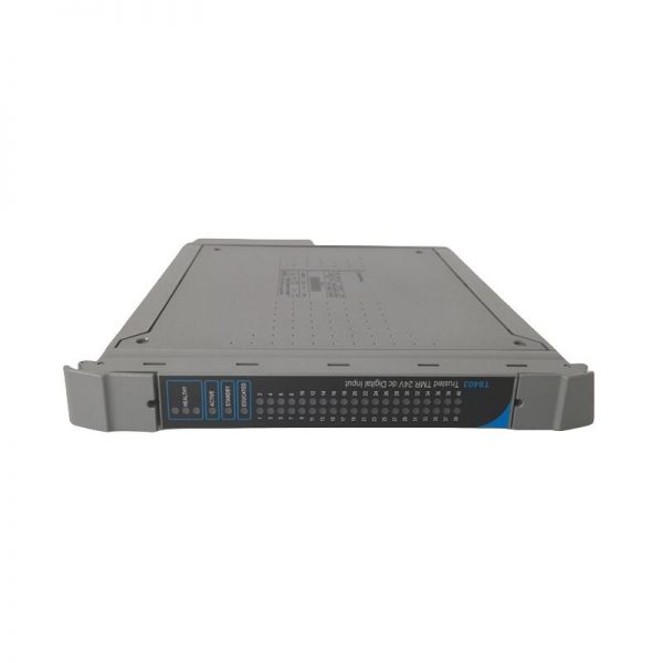 ICS TRIPLEX T8403 segment submodule