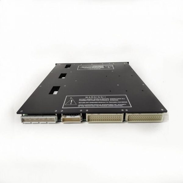 ICS TRIPLEX T8461 power module