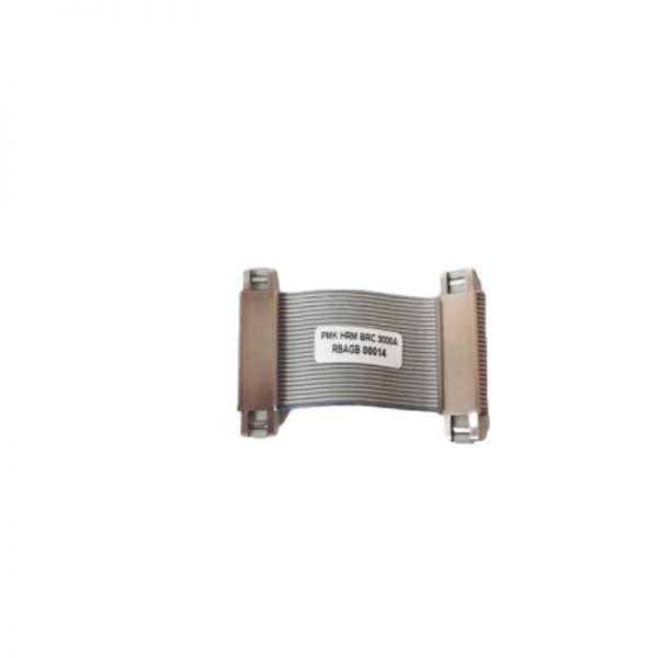 ABB BRC300 Digital Output Component Industrial Control Product - Image 2